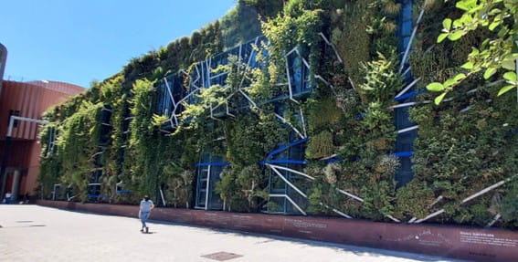 rehabilitación sostenible vitoria 2