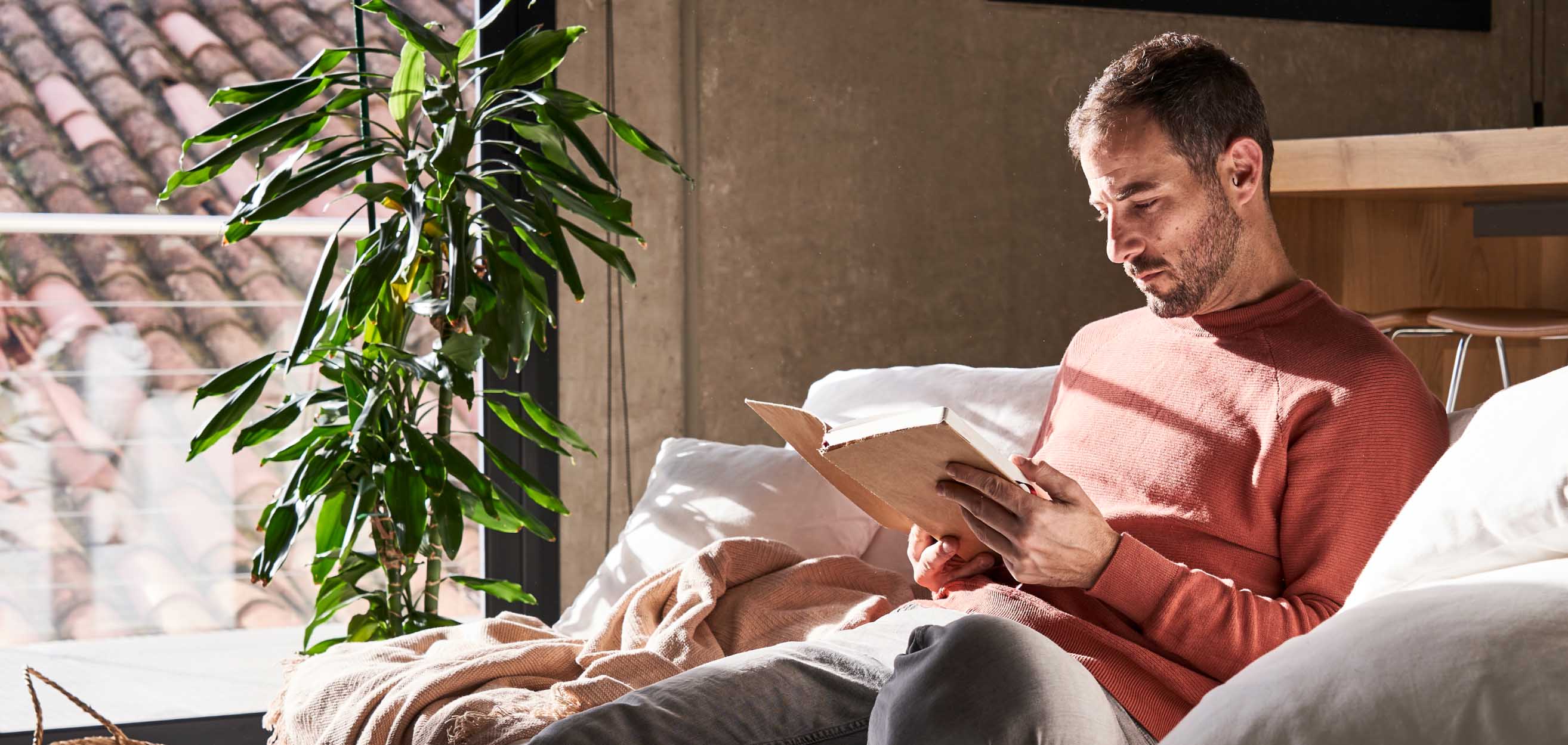 Hipotecas y planes de rehabilitación